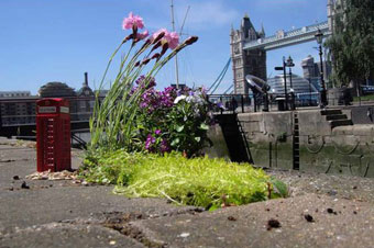 M&W Werbeagentur digitales Bildarchiv